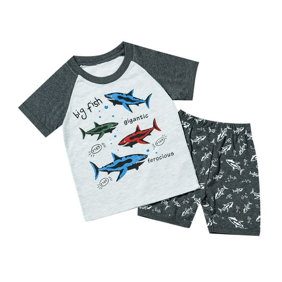 Fish Toddler Boys T-Shirt And Shorts Outfit Set Toddler To Little Kid Light Gray 2-3 Years