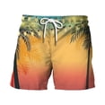 thumbnail image 1 of PEASKJP Waterproof Shorts for Men Male Surf Short Shorts Trunks, H L, 1 of 3