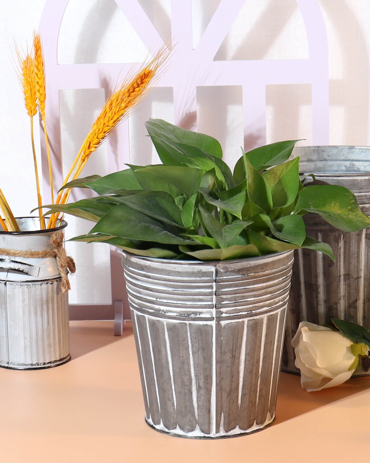 6 Inch Silver Metal Rustic Flower Pots - 6Pcs Galvanized Planters with Drainage Hole and Rubber Plug, Rustproof Metal Bucket Plant Pots Farmhouse Vintage Style for Decor