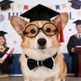 thumbnail image 4 of Pet Graduation Cap and Bow Tie Set for Dogs and Cats with Adjustable Glasses Academic Costume for Ceremony or Photo Props, Lightweight Polyester Apparel for Memorable Graduation , Back to School, 4 of 6