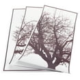 thumbnail image 3 of Wall Sticker,   Widely Used High-quality PVC Material Decorative Sticker Exquisite Appearance  For Parties For Office, 3 of 8
