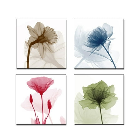 Floral Wall Meigar 4Pcs Framed 11.81