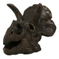 thumbnail image 4 of Faux Taxidermy Replica Triceratops Dinosaur Head Fossil Small Skull Figurine, 4 of 9