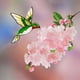 thumbnail image 5 of RKSTN a pendant Hummingbird Hanging Decoration Colorful Hummingbird Suncatcher Window Hanging Acrylic Crafts Home Decoration, 5 of 5
