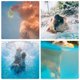 thumbnail image 4 of Piscina plegable para mascotas, bañera plegable para hámster, conejo, bebé y gato, bañera para mascotas, piscina para bebés recién nacidos pequeños, 4 of 10