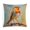 Pattern, variant on Pillow Cover Robin Bird Throw Pillow Covers 16"x16" Decoration for Sofa Couch Vintage Lovely Robin Sitting on Tree Branch Decorative Throw Pillow Covers