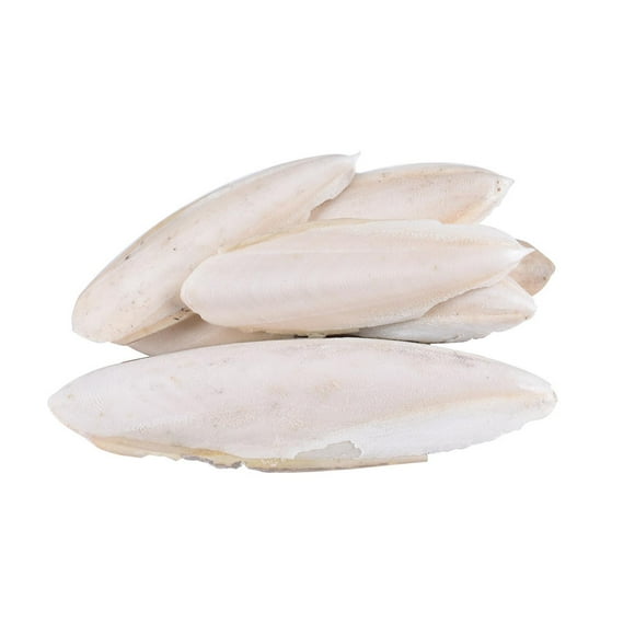 Cuttlebone Cuttlefish Bone Sepia Cuttle Fish Bird Food Calcium Pickstone 2022 K5W1
