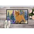 thumbnail image 2 of Carolines Treasures SS8011MAT Tapis Intérieur Extérieur 18 x 27 Po. Norwich Terrier, 2 of 4