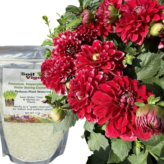 Soil VigorĀ® Potassium Polyacrylate Water-Storing Crystal Gel for Plants ā 1 lb | Moisture Retention, Water Conservation, and Soil pH Regulation