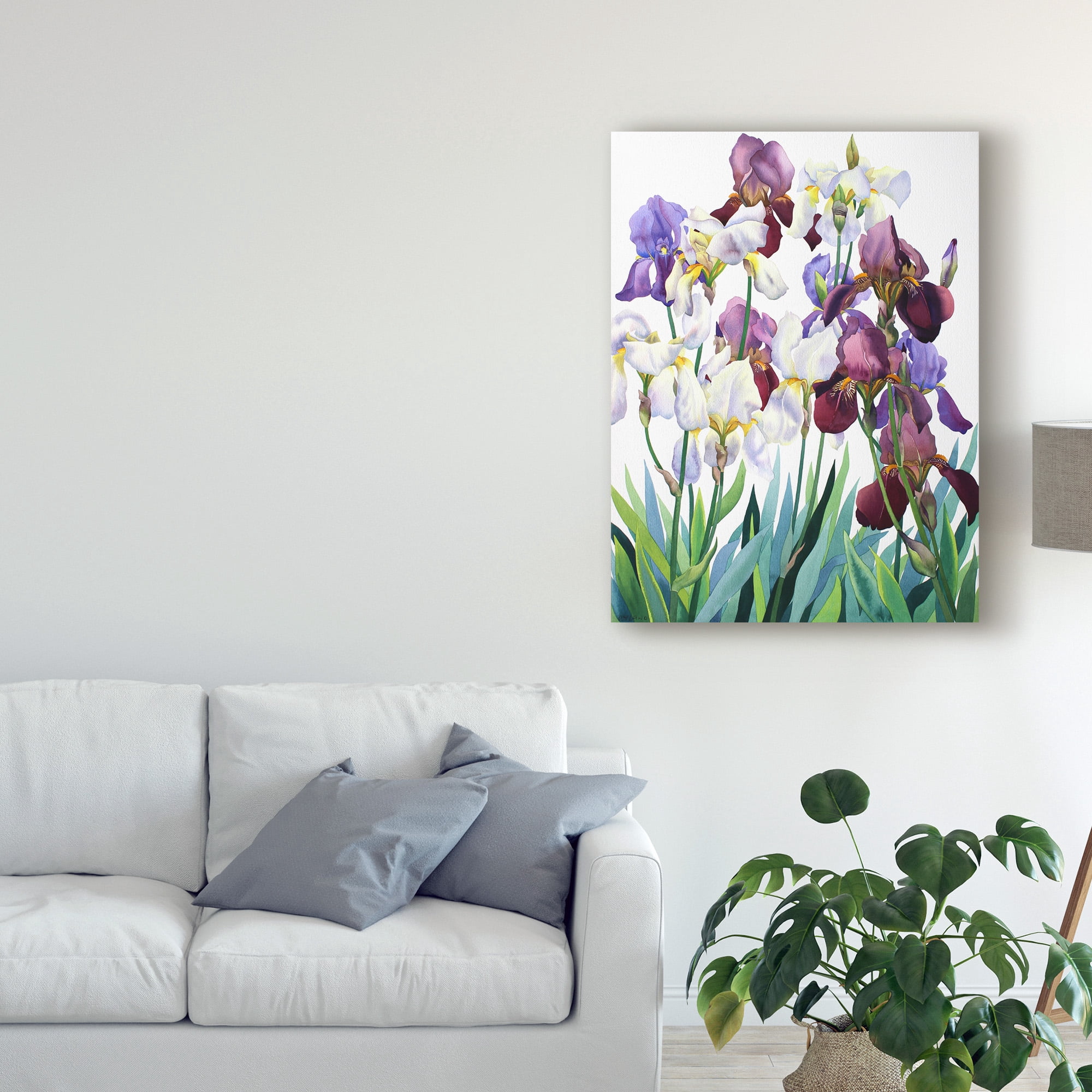 Trademark Fine Art 'White and Purple Irises' Canvas Art by Christopher Ryland