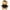 E, variant on 2025 Graduation Bear – 9 Inch Soft Plush Teddy with Black Cap & Sash, PP Cotton-Filled Huggable Keepsake for Grad Gifts, Decor, and Bedside Companionship (Includes Greeting Card & Gift Bag)