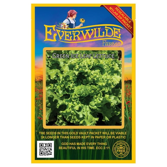 Everwilde Farms - 1000 Green Ice Leaf Lettuce Seeds - Gold Vault Jumbo Bulk Seed Packet