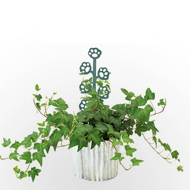 Trepadoras, para interiores, apilables, para trepar, pequeñas trepadoras, enrejado para plantas trepadoras