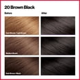thumbnail image 3 of Revlon ColorSilk Beautiful Permanent Hair Dye, Dark Brown, At Home Full Coverage Application Kit, 20 Black Brown, 3 Pack, 3 of 11