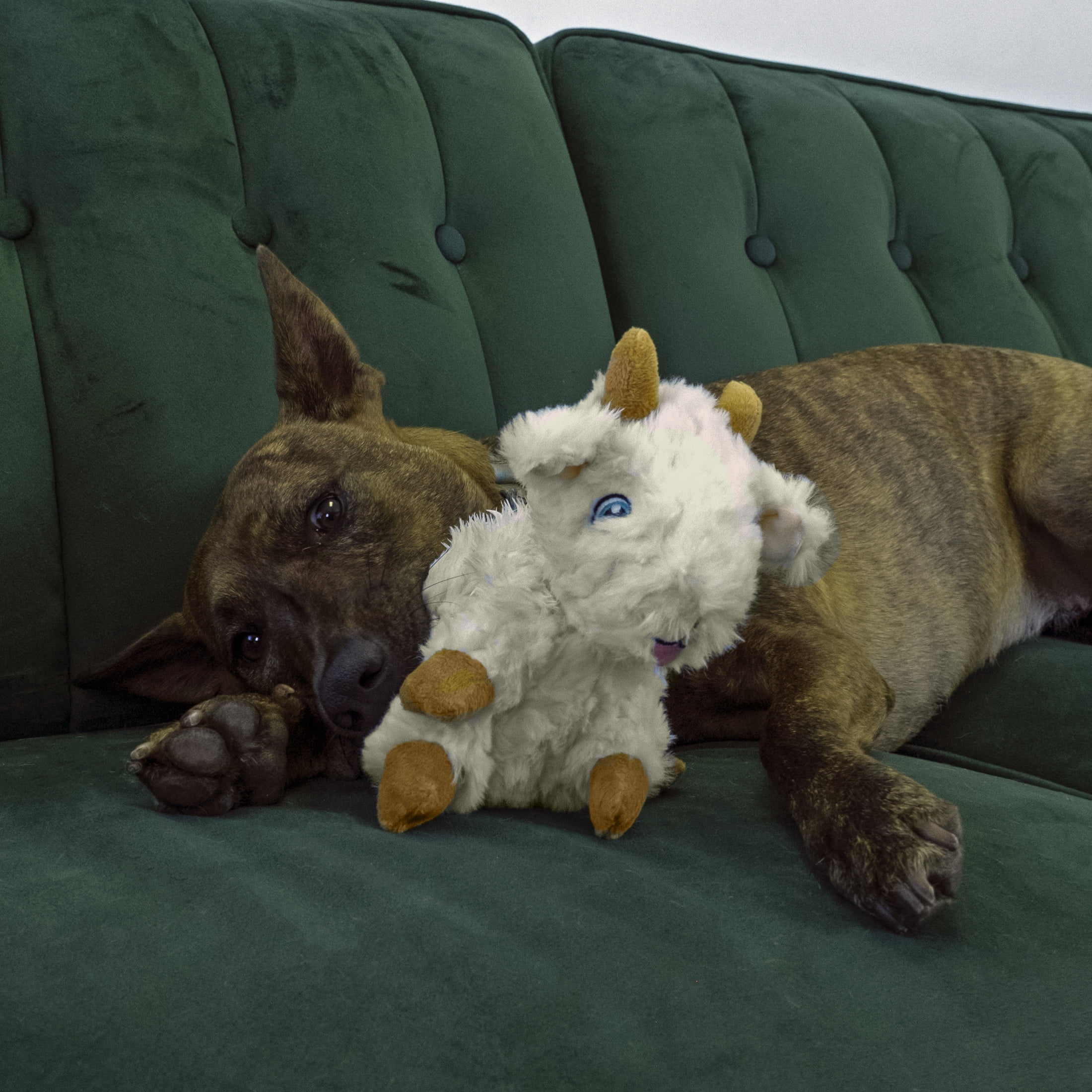 KONG® Comfort Tykes Fluffy Dog Toy, Removable Squeaker, Goat, Small