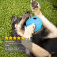thumbnail image 2 of (1 paquete) Juguetes de caucho natural para perros - Caucho para perros - Pelotas de juego de caucho para perros - Juguetes para masticar - Perros grandes y pequeños - Pelotas para perros, 2 of 5