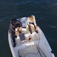 thumbnail image 4 of ECO-WORTHY Panneau Solaire Monocristallin 25 Watts 12 Volts Module de Charge hors Grille pour Bateau RV, 4 of 5