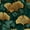 Color 3, variant on Peel and Stick Wallpaper Peony yellow flowers lemon fruits green leaves white floral Seamless 24in x 118in Contact Paper Removable Self Adhesive Wall Mural Wall Decor for Bedroom Kitchen Cabinets