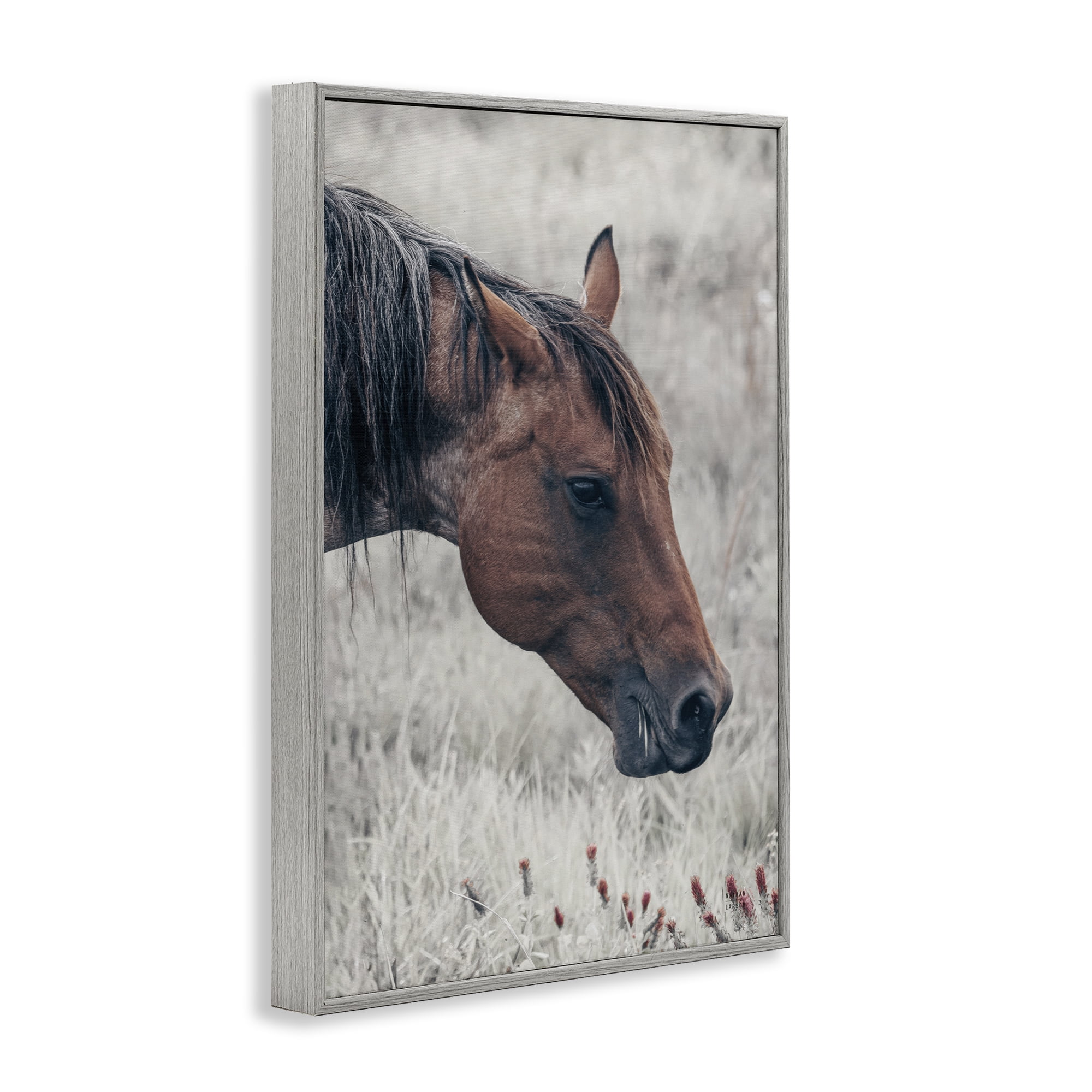 Stupell Industries Mother Horse Grazing in Meadow Gray Framed Giclee Art, design by Nathan Larson