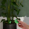 thumbnail image 3 of Shisuyan 3 Rolls Plant Fixing Strap Convenient Vine Plant Straps Gardening Accessory, 3 of 8