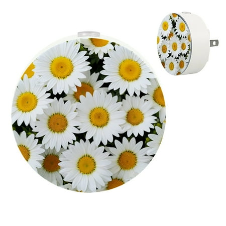 

YZUOUZY Bedside Lamps Bedroom Lamp Small Bedside Lamps Set of 2 Camomile Chamomiles Daisy Flowers