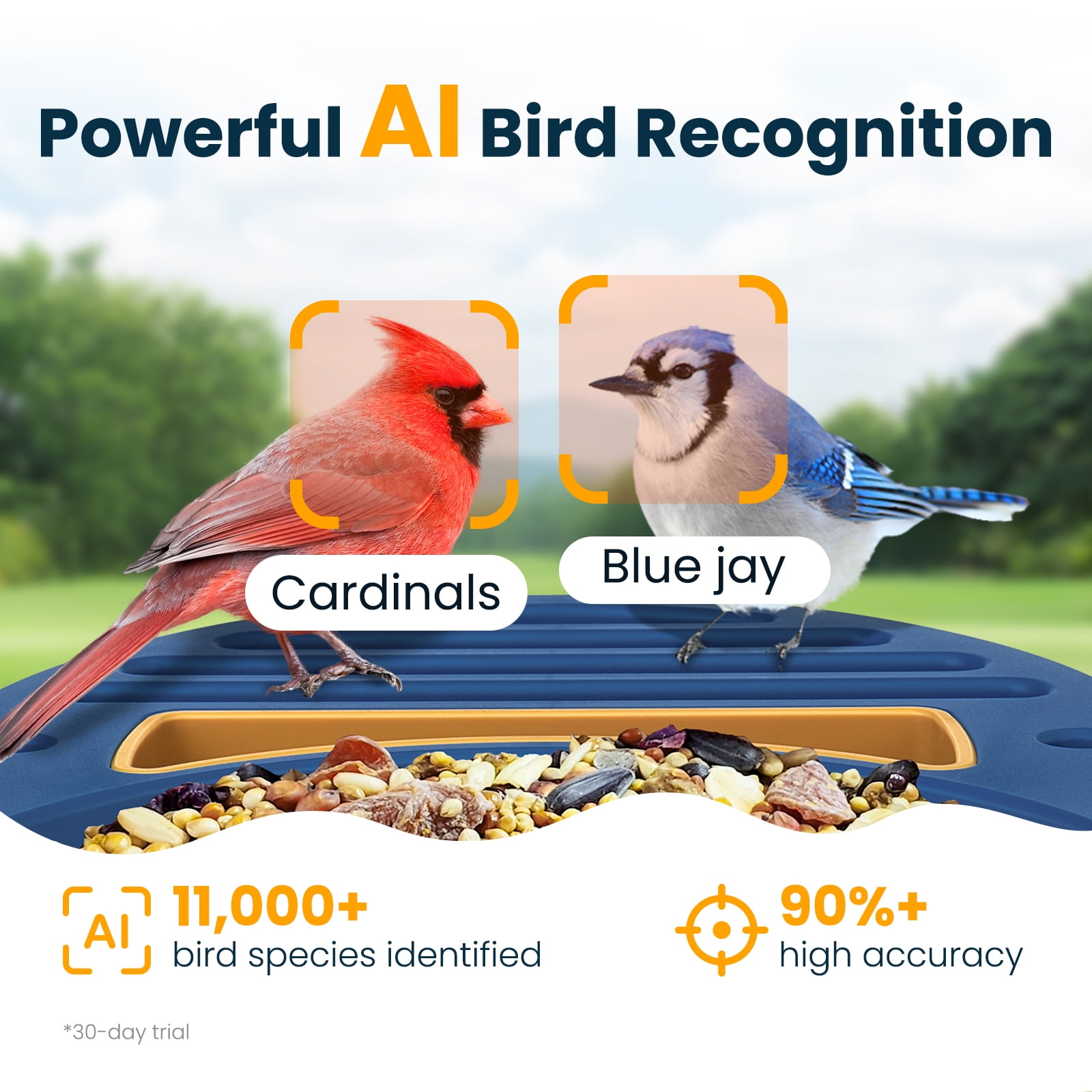 VINGUYS Bird Feeder with Camera and Smart AI Identification, Solar Powered IP66 Waterproof for Outdoor Birding, Blue