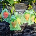 thumbnail image 3 of CHUANK 10 Pcs Sacs de Protection en Maille Respirante pour Fruits - Filet à Fraises et Raisins Anti-Insectes et Anti-Oiseaux pour la Saison des Récoltes Parfait pour Noël Pâques Action de Grâce et Décoration de Graduation, 3 of 7