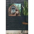 thumbnail image 2 of Epic Art 'Jungle Monkey I' by Carolee Vitaletti Acrylic Glass Wall Art, 24"x24", 2 of 3