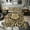 Green Brown 04, variant on Feelyou Camo Baseball Twin Comforter Sets for Boys, Ice Cream Drip Bat Bedding Set, Green Brown, Black Reversible, 2-Piece, 1 Comforter and 1 Pillowcase