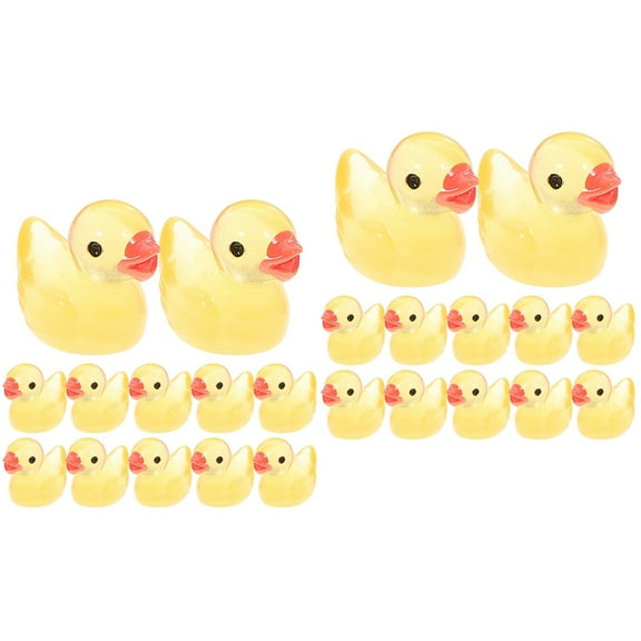 Raindrops 200 Pcs Mini Duck Figurines Glow In The Dark Duck Statues Duck Bonsai Decorations Colored Mini Duck