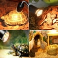 thumbnail image 4 of Bombillas para lámparas de calor para reptiles, la luz para tomar el sol para anfibios enfoca la luz y el calor en el punto deseado, rayos UVB 3.0 y UVA esenciales para reptiles en accesorios de, 4 of 5