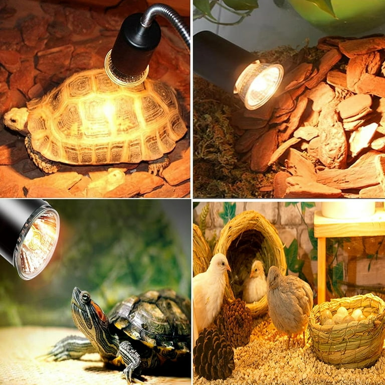 Basking heat lamp hotsell
