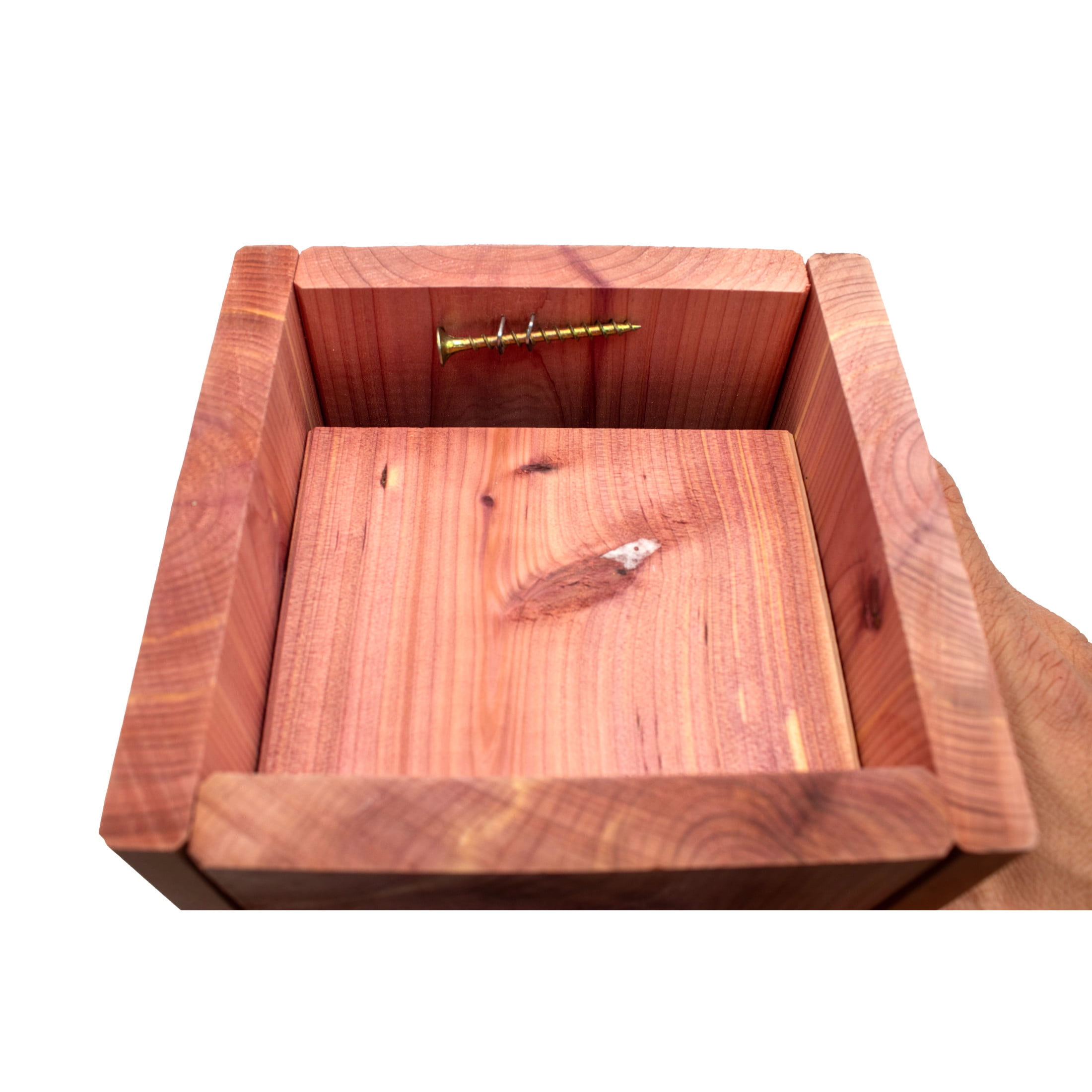 Pennington Cedar Bluebird House With Predator Guard