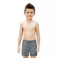 thumbnail image 3 of Beautiful Giant Boys Casual Swim Trunks Quick Dry Hawaii Style Swimwear Mesh liner, Sizes 8-18, 3 of 7