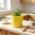 thumbnail image 6 of romoty Flower Petal Shaped Plastic Plant Pot with Saucer Yellow, 6.3 in Lightweight Decorative Succulent Planter with Drainage Hole for Indoor Outdoor Desk Garden Decor, 6 of 6