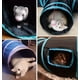 thumbnail image 3 of Mascota Cachorro Hurón Conejo Gato Juego Túnel Tubo Juguete - DIY Gato Laberinto Casa Cama Tienda Peek Window - Gatito Juguete Interactivo (Estrella de Mar-Estilo: Tubos de 5 vías), 3 of 5
