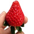 thumbnail image 1 of 100 Pcs Graines de Fraise Géantes Rouges pour Intérieur Extérieur Balcon Jardin, 1 of 3