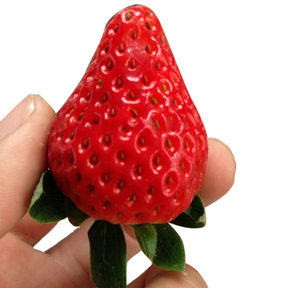 100Pcs Sweet Strawberry Seeds Giant Red Strawberry Seeds for Indoors Outdoors Balcony Garden