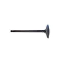 thumbnail image 5 of DNJ IV161 Intake Valve Fits Cars & Trucks 03-11 Mitsubishi Endeavor Galant 3.8L V6 SOHC 24v, 5 of 5