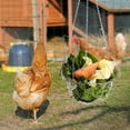thumbnail image 1 of Comedero plegable para pollos, decoración colgante, cesta de alimentación para atraer pájaros, comedero de malla para pájaros para patio y exterior, 1 of 8