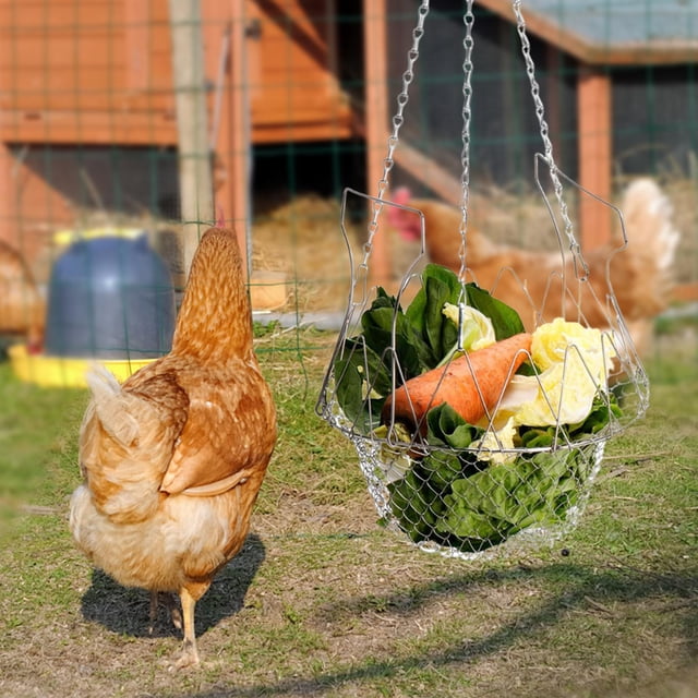 Comedero plegable para pollos, decoración colgante, cesta de alimentación para atraer pájaros, comedero de malla para pájaros para patio y exterior