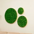 thumbnail image 6 of Luxury Home Interior Design Nature's Geometry - Round Combination Moss Art Hanging Frame 3 pcs Set, 6 of 6