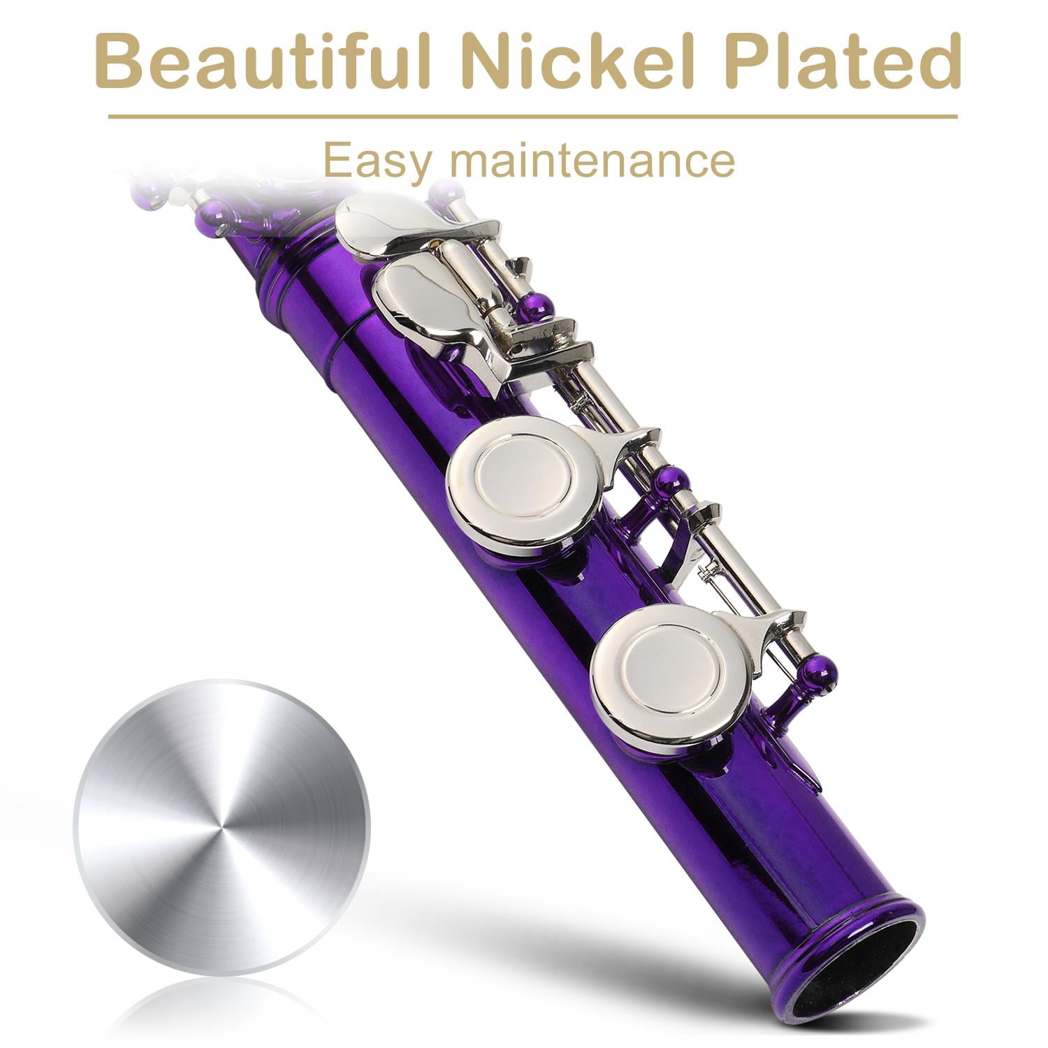 Zimtown 16 Hole C Flute for Student Beginner School Band with Case