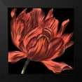 thumbnail image 2 of Vision Studio 12x12 Black Modern Framed Museum Art Print Titled - Mini Transitional Tulip IV, 2 of 5
