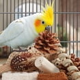 thumbnail image 4 of Caja de forrajeo natural Kyouki de Bird Toys para periquitos, etc., 4 of 7
