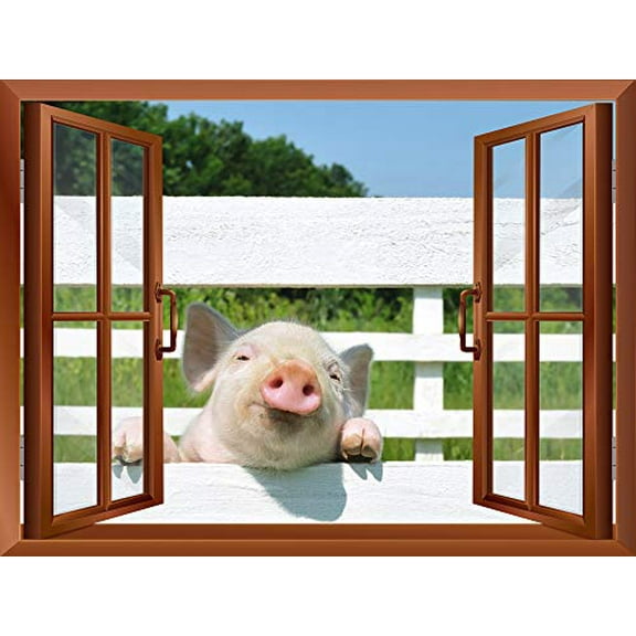 wall26 - A Little Pig Outside of an Open Window | Removable Wall Sticker/Wall Mural - 24"x32"