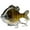 Yellow Mackerel, variant on Bassdash SwimPanfish Multi Jointed Panfish Bluegill Swimbaits Hard Topwater Bass Lures Fishing Lure Crank Saltwater 3.5in/0.85oz