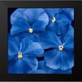 thumbnail image 2 of Poelstra-Holzhaus, Yvonne 15x15 Black Modern Framed Museum Art Print Titled - Colourful Floral III, 2 of 5