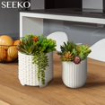thumbnail image 2 of Suculentas artificiales SEEKO, 28 piezas, decoración de imitación realista, 2 of 6