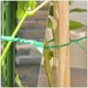 thumbnail image 4 of FELTECHELECTR 300 piezas de alambre para sujetar cables de plantas y enredaderas (verde), 4 of 6